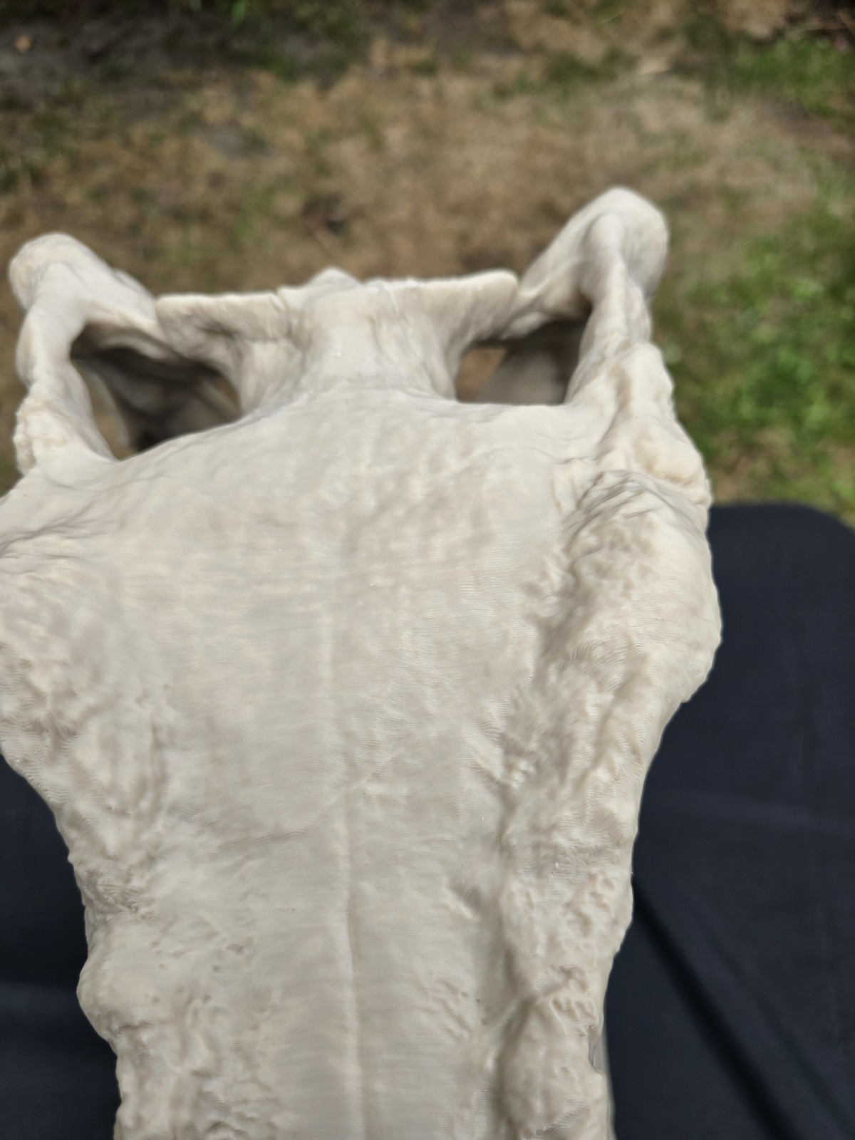 Giganotosaurus Dinosaur Skull  Large Replica, Fossil, Collectables