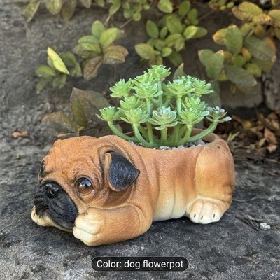 A Cute Pug-Shaped Succulent And Cactus Resin Flower Pot, Featuring a Whimsical