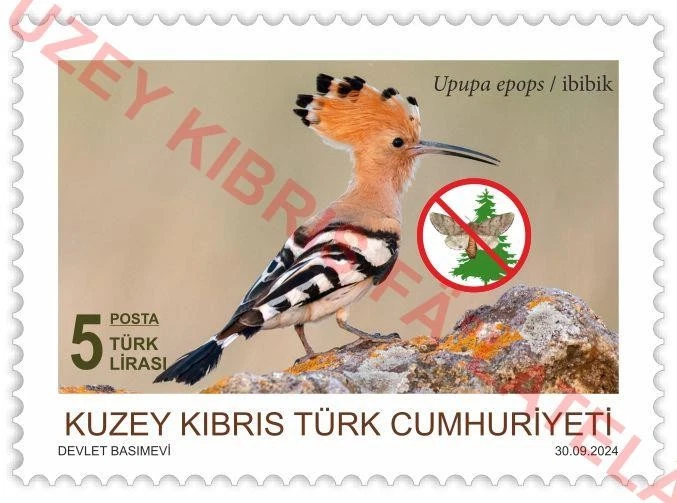 Estampillas de aves e insectos del norte de Turquía de Chipre de 2024 MNH Foto 3 de 4
