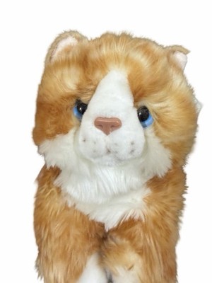 Signature Cuddle Kittens Plush Realistic Kitten Orange/white, Blue Eyes