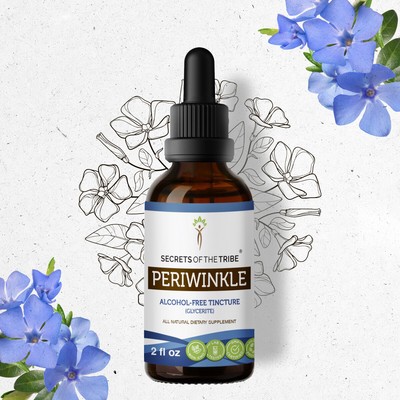 Secrets Of The Tribe Periwinkle Tincture Alcohol-FREE