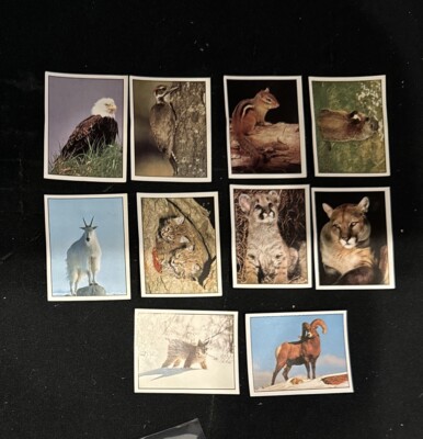 (Lot A) 10ct 1990 Animals of The World Panini Italy Album Trading Card Stickers