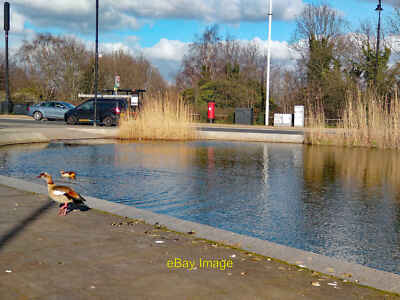 Foto 12x8 Hampstead: Whitestone Pond Hampstead\/TQ2685 " Whitestone c2022