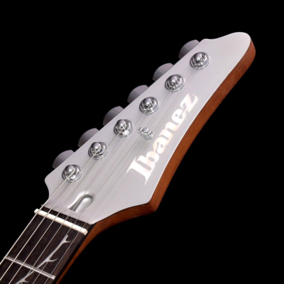 ばーどぼーい様専用】Ibanez TOD10 アーム有 バッグ付 Ibanez TOD10
