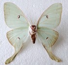 Foto 2 di 2