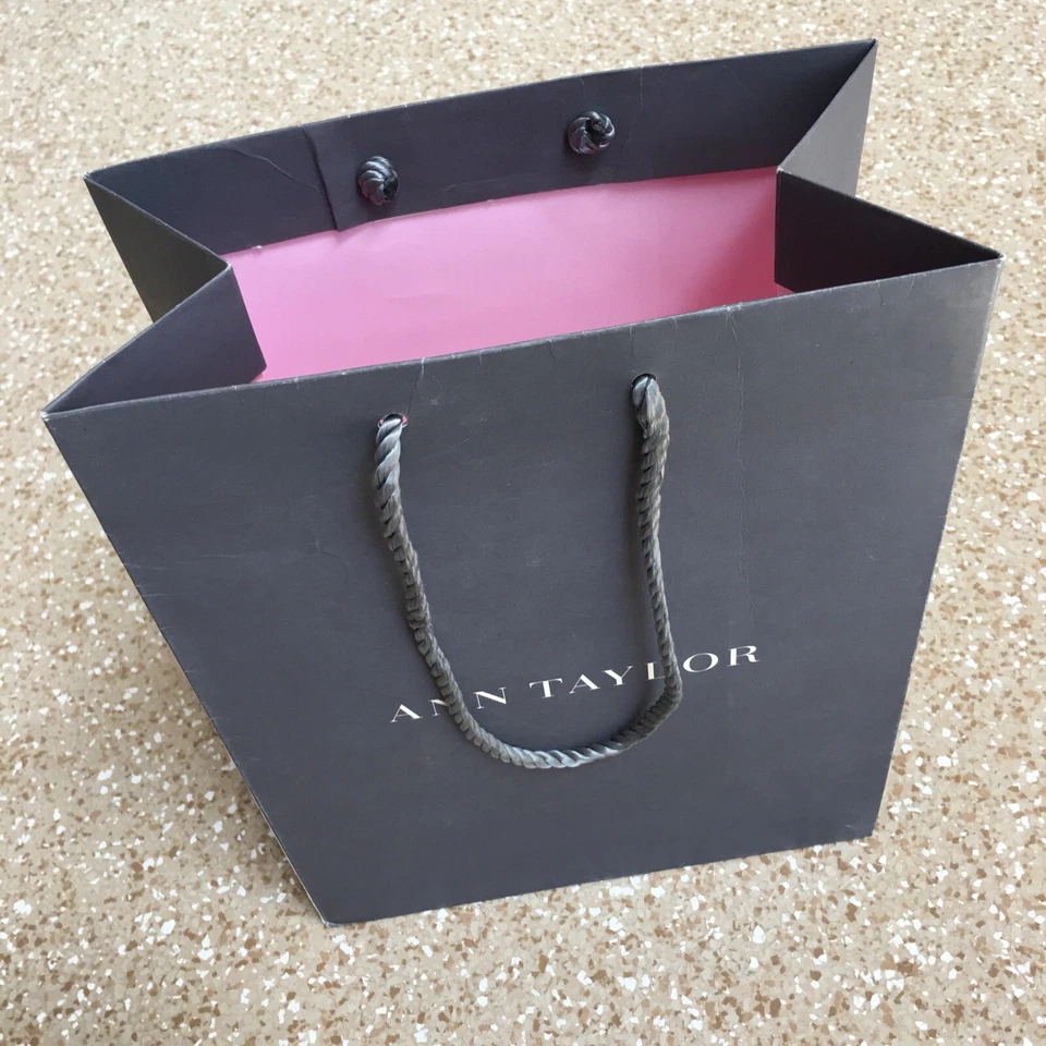 Bolsa de compras ANN TAYLOR auténtica bolsa de regalo de papel vacía (11,5” X 9” X 5”) B-129 Foto 3 de 4