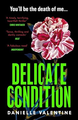 Delicate Condition | Danielle Valentine | 2024 | englisch