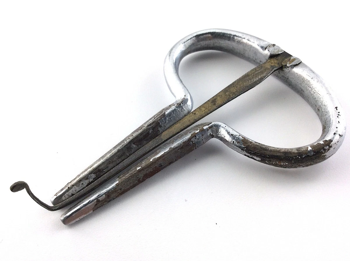 Jaw harp price online