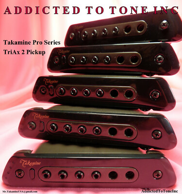 Takamine TriAx 2 Acoustic Guitar Pickup / Modified Baggs M80