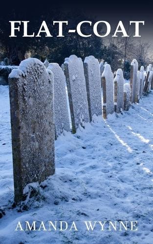 Книга Аманды Уинн в мягкой обложке (ИМПОРТ из Великобритании)