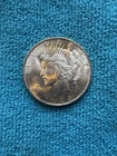 1923-P Peace Dollar 90% Silver - Brilliant Uncirculated.  Nice Original luster!