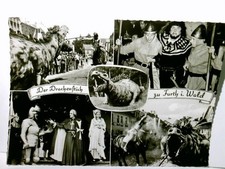 Der Drachenstich zu Furth i. Wald. Bayern. Alte Ansichtskarte / Postkarte s/w, u