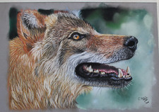 Original Pastel Painting Wolf
