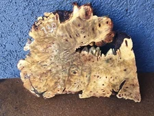 Buckeye Burl Natural Edge Slab Crafts Woodworking   1" x 11" x 12"  #W730