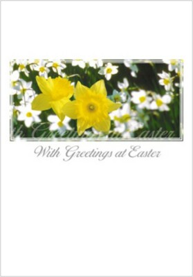 4 Stück identische Osterkarten mit Frühlingsblumenbild und Bibeltext EB15588