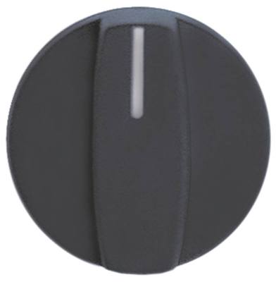 Rational Knebel für Kombidämpfer CM201, CM101, CM62, CM20, CM6 ø 42mm blau