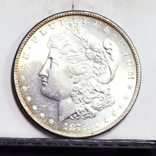 1878 8TF  Morgan Dollar - BU Details, Light Peripheral Toning (#61297-L)