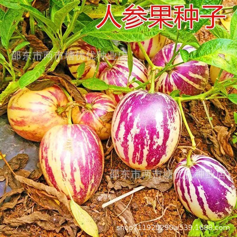 Foto 15 di 21