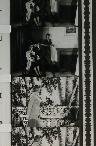 EMBRACEBLE YOU KAY LORRANE KARL TREES 16MM FILM MOVIE ROLLED S106 MIRROR IMAGE - Imagen 5 de 8