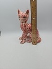 Foto 12 di 13
