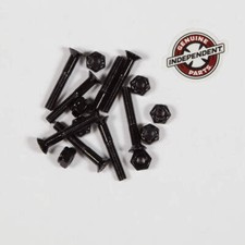 Independent Genuine Parts Phillips 1.25 in Skateboard Hardware