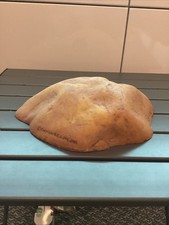 Exo Terra Reptile Hide Cave Snake Lizard Vivarium Terrarium Easy Clean Viv