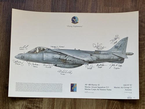 Multi-Signed AV-8B Harrier VMA-513 Flying Nightmares CO+XO 11-Signed 1995 Print