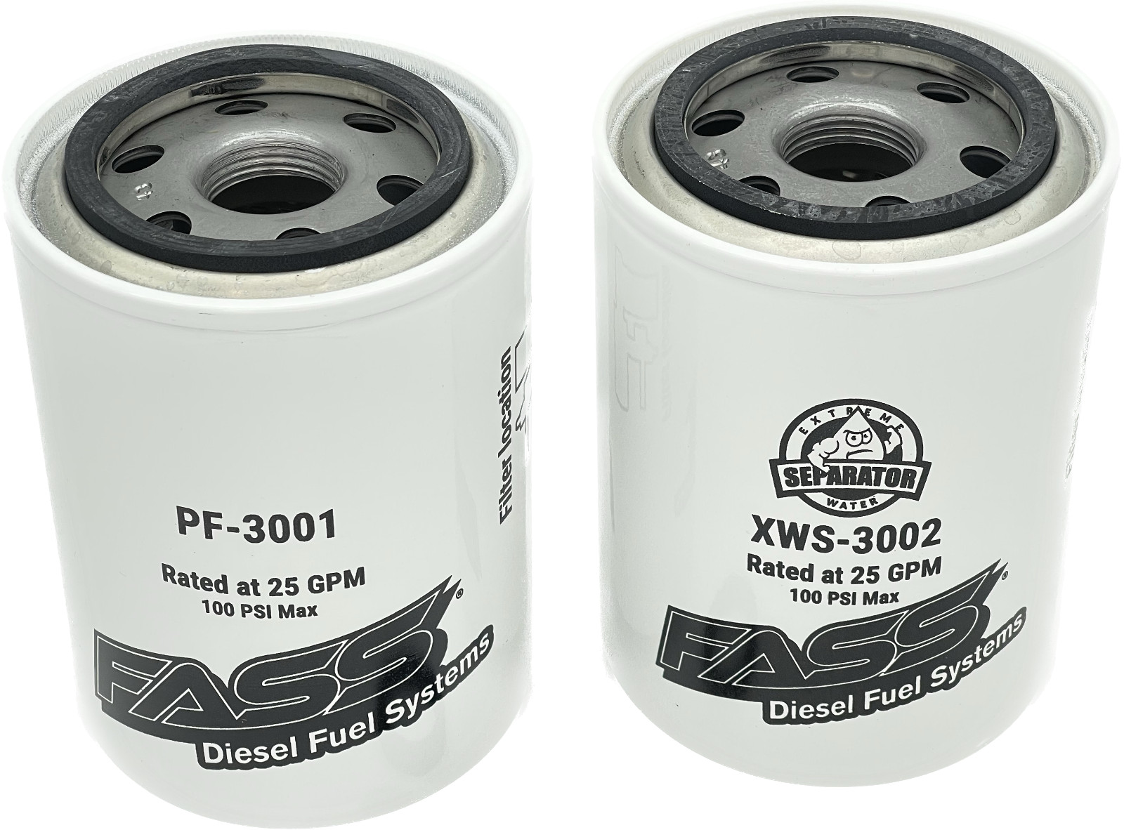Купить New FASS Filters Titanium Replacement Fuel Filters XWS3002 на