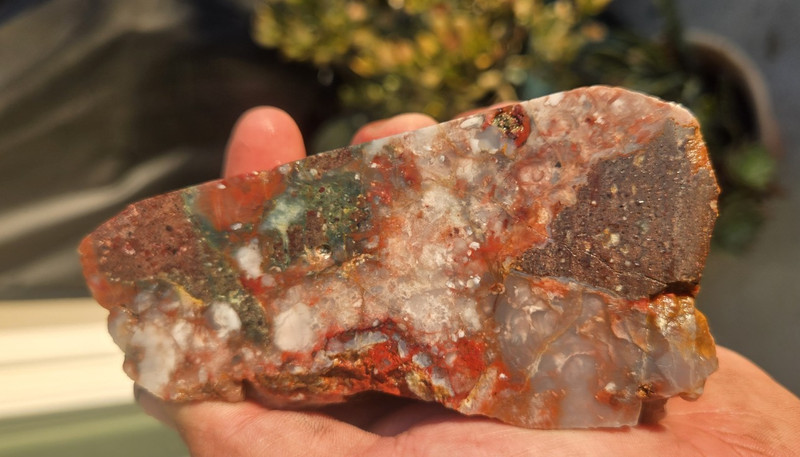 Christmas tree seam plume agate calico mountains Cabbing 1 lb 10 oz 