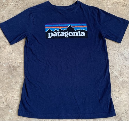 Patagonia Shirt Youth Boy Large 12 Blue Logo Organic Cotton Tee Casual Worn Wear - Picture 2 of 7