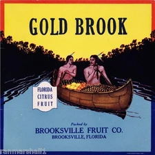 Brooksville Florida Gold Brook Orange Citrus Fruit Crate Label Art Print