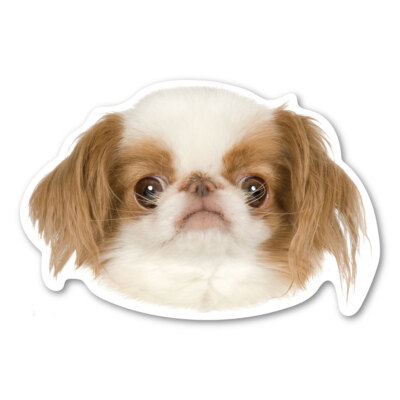 Japanese Chin Magnet