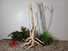 Driftwood aquarium fish & reptriles 13x18 nat...
