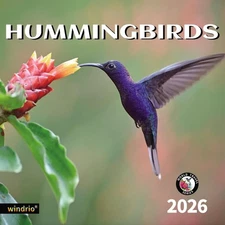 2026 Wall Calendar,Calendar 2026, November 2025 - 12"x24", HUMMINGBIRDS 2 