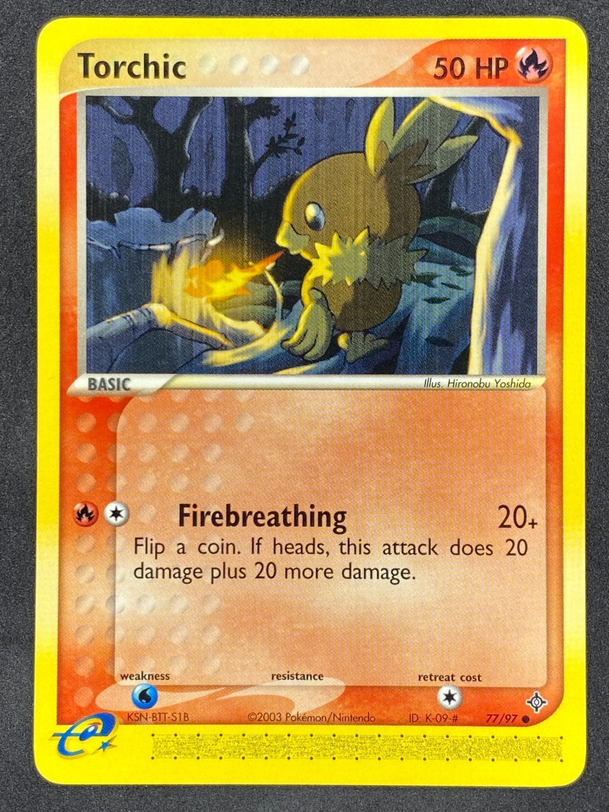 Pokémon Torchic 77/97 DR EX Dragon NM