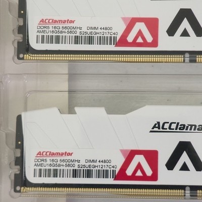 ACClamator 32GB (2x16GB) DDR5 5600MHz Desktop Memory RAM | eBay