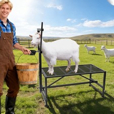 Metal Goat Stand with Headpiece and Feeding Bin for Goat Milk and Sheep Trimming