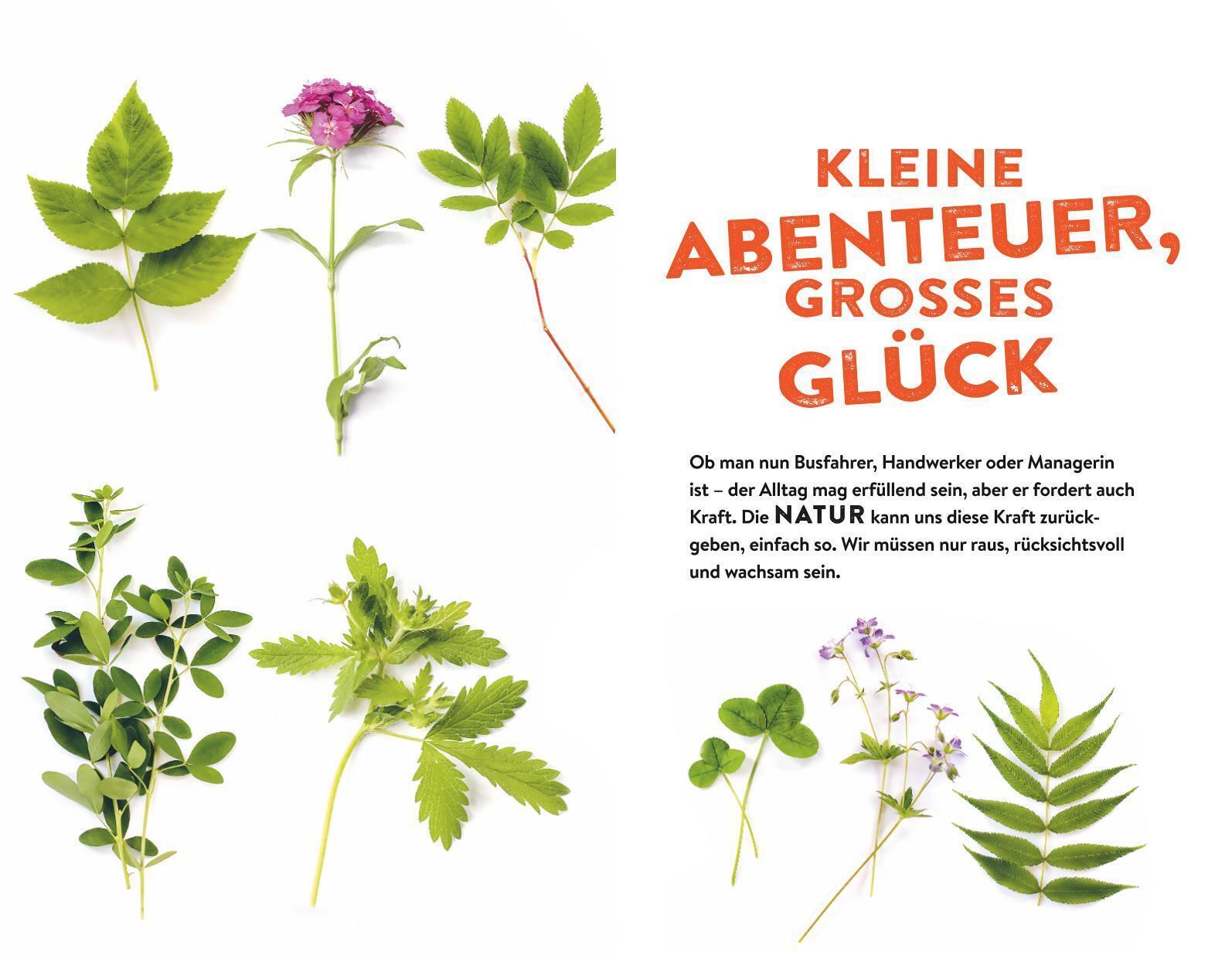 Thumbnail - Tausche Alltag Gegen Alpaka - Erik Kormann - 9783846408728