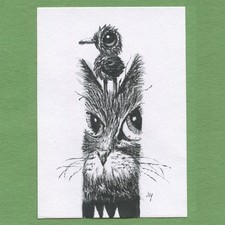 ACEO art card original pen and ink drawing pop surreal Ink Cat 44 Tim Olly