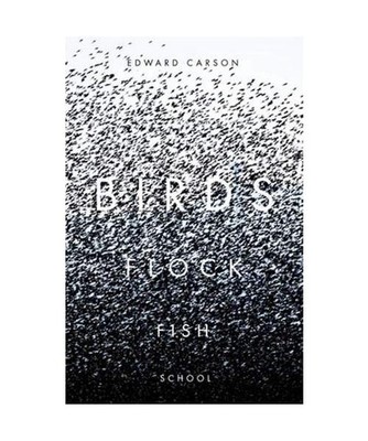 Birds Flock Fish School, Edward Carson