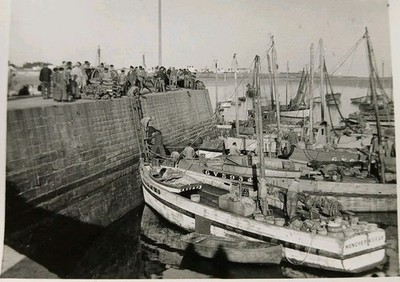 D56 Quiberon Dockers am Hafen um 1930 Boote Foto Morbihan