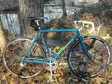 MASI 3V Volumetrica  Bike Frame Made in Italy.  Updated Wheels /Components.