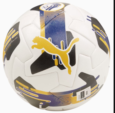 [844530-01] MENS PUMA ORBITA SPFL (FIFA QUALITY PRO)