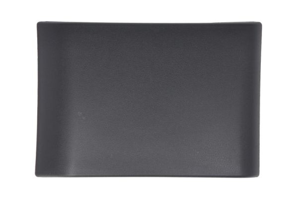 Right BLIC 5703-06-6089576PP Trim/Protection Strip, quarter panel for RENAULT