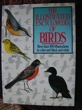 Illustrated Encyclopedia of Birds/No 1687110-Olga Kuthanova