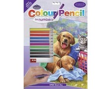 Royal Brush Manufacturing Colour Pencil by Numbers Wash Day Fun RBMCPN9
