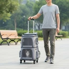 Double-Deck Pet Carrier Portable Pet Trolley Bag Side Pockets for Outdoor