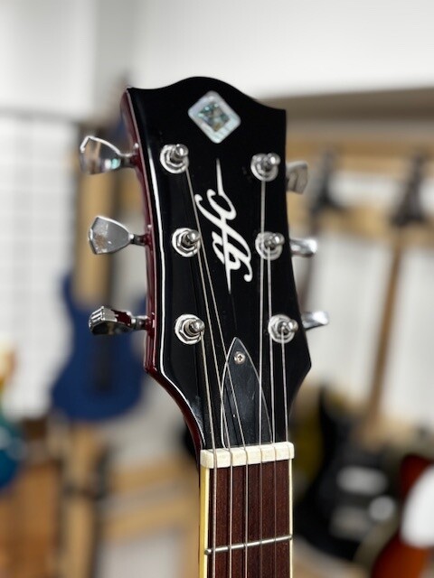 Electric Guitar GFC GLP-300 Les Paul Type Wine Red | eBay