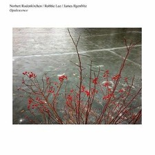 Image of Opalescence by Norbert Rodenkirchen / Robbie Lee / James Ilgenfritz (Record, ...