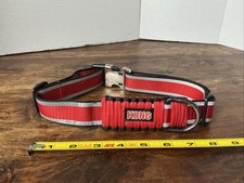 kong dog collar